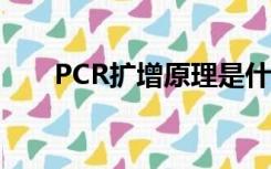 PCR扩增原理是什么（pcr扩增原理）