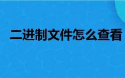 二进制文件怎么查看（二进制文件查看器）