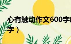 心有触动作文600字叙事（心有触动作文600字）