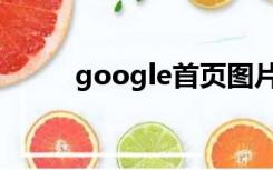 google首页图片（google首页）