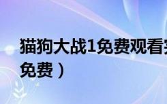 猫狗大战1免费观看完整版（猫狗大战1在线免费）