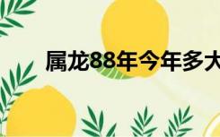 属龙88年今年多大（88年今年多大）