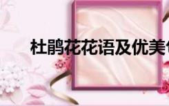 杜鹃花花语及优美句子（杜鹃花花语）