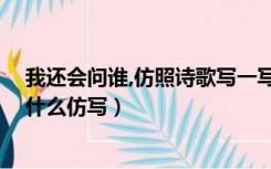 我还会问谁,仿照诗歌写一写（刘倩倩诗歌的 你别问这是为什么仿写）