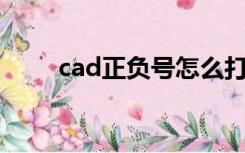 cad正负号怎么打（正负号怎么打）