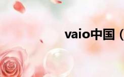 vaio中国（vaio官网）