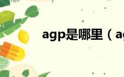 agp是哪里（agp是什么意思）