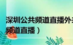 深圳公共频道直播外来媳妇本地郎（深圳公共频道直播）