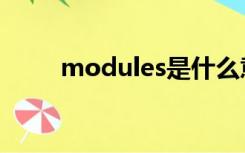 modules是什么意思（modules）