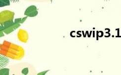 cswip3.1（cswip）