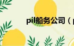 pil船务公司（pil船公司网站）