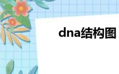 dna结构图（dna结构）