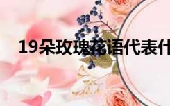 19朵玫瑰花语代表什么意思（19支玫瑰）