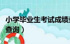 小学毕业生考试成绩查询（小学毕业考试成绩查询）