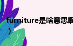 furniture是啥意思啊（furniture是什么意思）