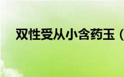 双性受从小含药玉（双性受从小含药玉）