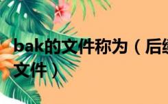 bak的文件称为（后缀名是 bak的文件是什么文件）