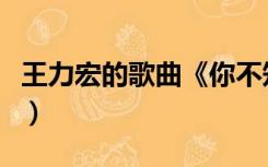 王力宏的歌曲《你不知道的事》（王力宏的歌）