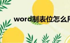 word制表位怎么用（制表位怎么用）