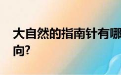 大自然的指南针有哪些?它们分别怎样识别方向?