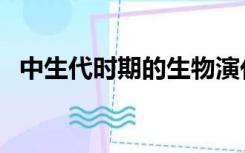 中生代时期的生物演化特征（中生代时期）