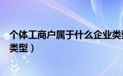 个体工商户属于什么企业类型的（个体工商户属于什么企业类型）