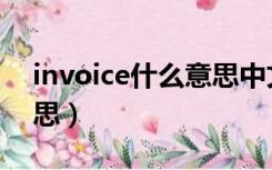 invoice什么意思中文外贸（invoice什么意思）