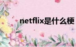 netflix是什么梗（netflix是什么）