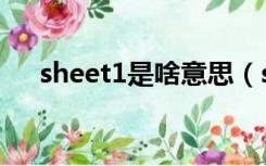 sheet1是啥意思（sheet1是什么意思）