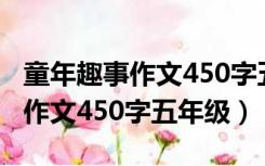 童年趣事作文450字五年级躲猫猫（童年趣事作文450字五年级）