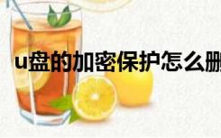 u盘的加密保护怎么删（u盘如何加密保护）