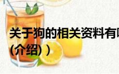 关于狗的相关资料有哪些（关于狗的所有资料(介绍)）