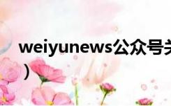 weiyunews公众号关注（weixn公众号平台）