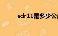 sdr11是多少公斤压力（sdr11）