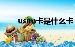 usim卡是什么卡（usim卡是什么）