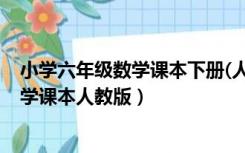 小学六年级数学课本下册(人教版)内容（小学六年级下册数学课本人教版）