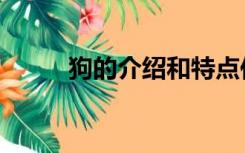 狗的介绍和特点作文（狗的介绍）