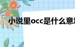 小说里occ是什么意思（occ是什么意思）