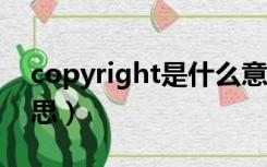 copyright是什么意思中文（copy是什么意思）