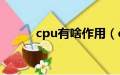 cpu有啥作用（cpu是什么作用）