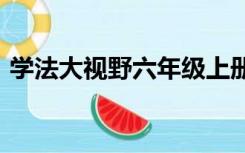 学法大视野六年级上册数学答案人教版2021