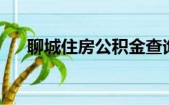 聊城住房公积金查询个人账户查询官网