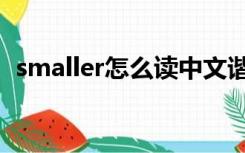 smaller怎么读中文谐音（smaller怎么读）