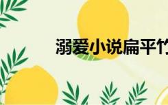 溺爱小说扁平竹（溺爱小说bl）