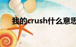 我的crush什么意思（crush什么意思）