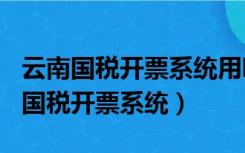 云南国税开票系统用哪个版本的excell（云南国税开票系统）