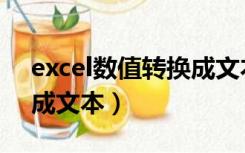 excel数值转换成文本函数（excel数值转换成文本）