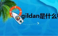 gildan是什么档次（gildan）