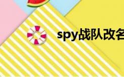 spy战队改名（spy战队）