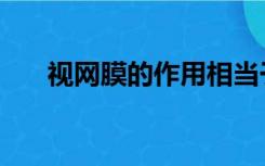 视网膜的作用相当于（视网膜的作用）